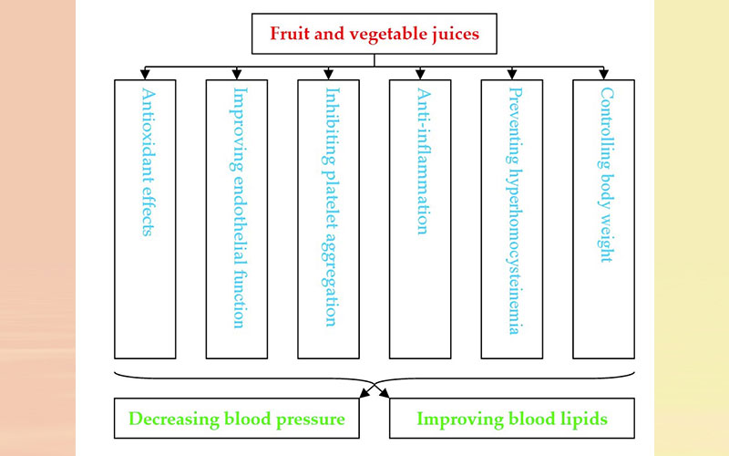 Effects and mechanisms of fruit and vegetable juices on cardiovascular diseases