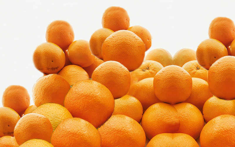Brazil: 2018-2019 orange crop forecast update for São Paulo and West-Southwest of Minas Gerais Citrus Belt – Final crop forecast