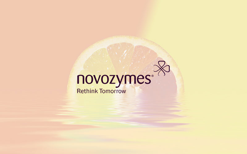 Novozymes makes organizational changes to deliver on the strategy