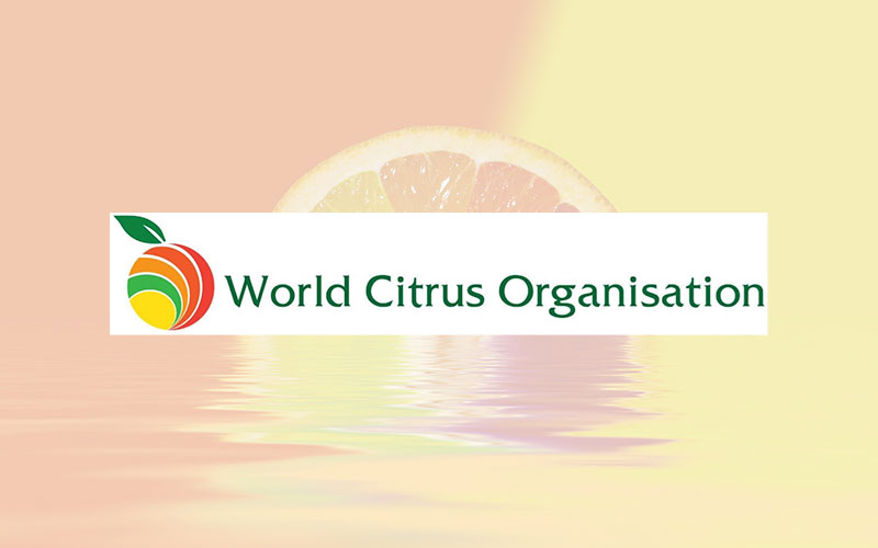 World Citrus Organization’s first official meeting in Fruit Logistica 2020