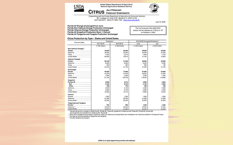 USDA: Florida citrus July 2020 forecast