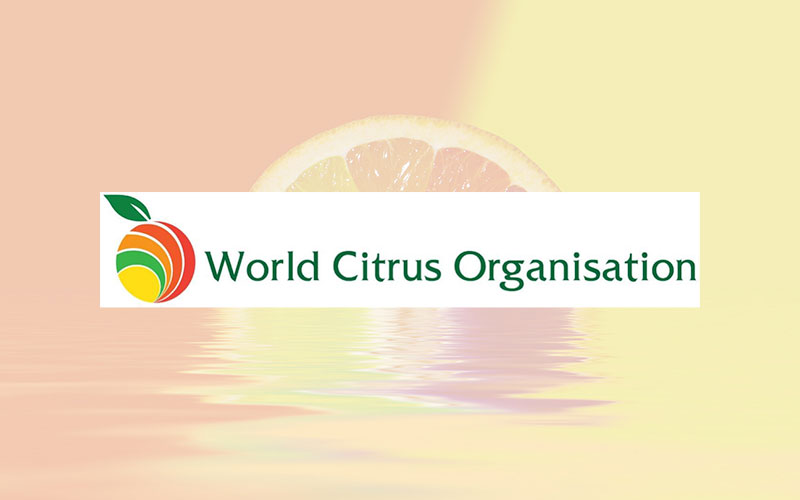 World Citrus Organisation finalises preparations for the first edition of its Global Citrus Congress with more than 300 participants already registered