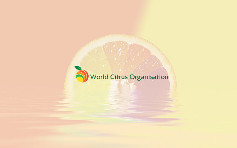 Preparations towards second edition of Global Citrus Congress in full speed