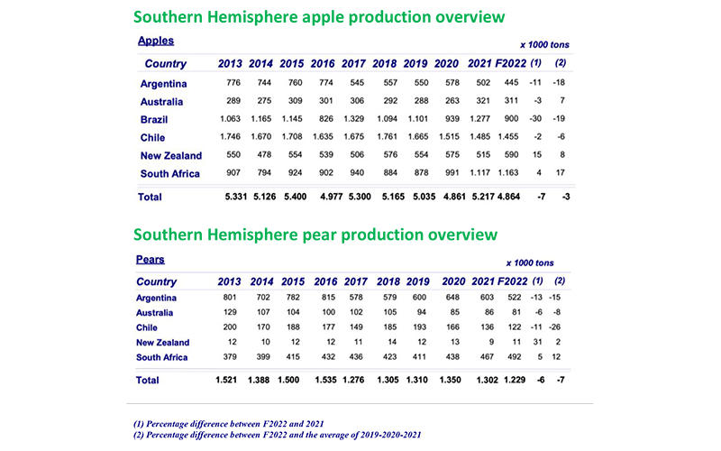 World Apple and Pear Association (WAPA) presents annual Southern Hemisphere crop forecast