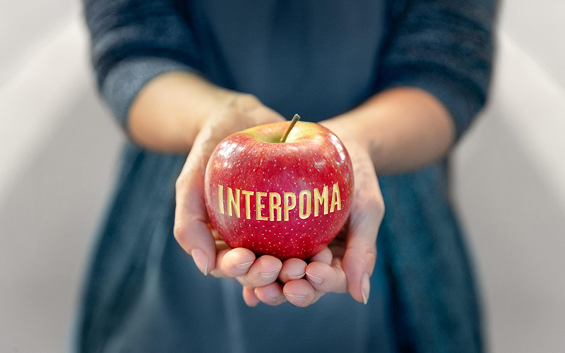 Interpoma 2022: stable production levels across Europe as the apple industry heads towards its congress