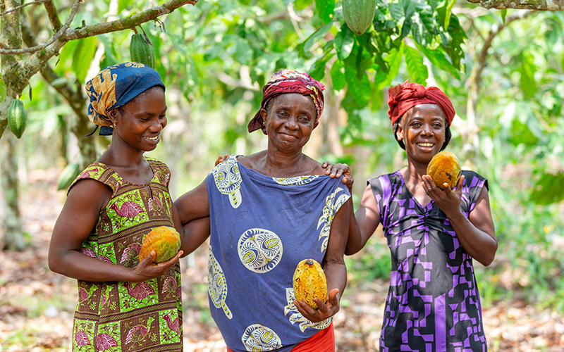 Koa becomes the first cocoa fruit brand to join the B Corp community