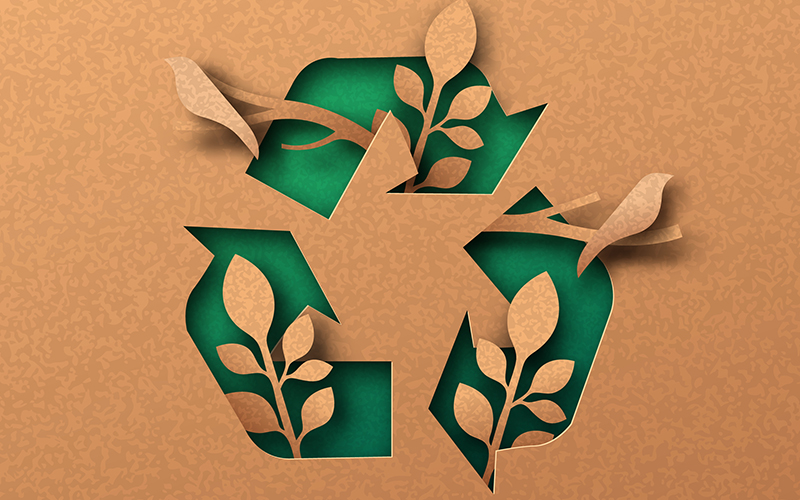 SIG invests in new recycling technology to increase value of recycled aseptic cartons in Brazil