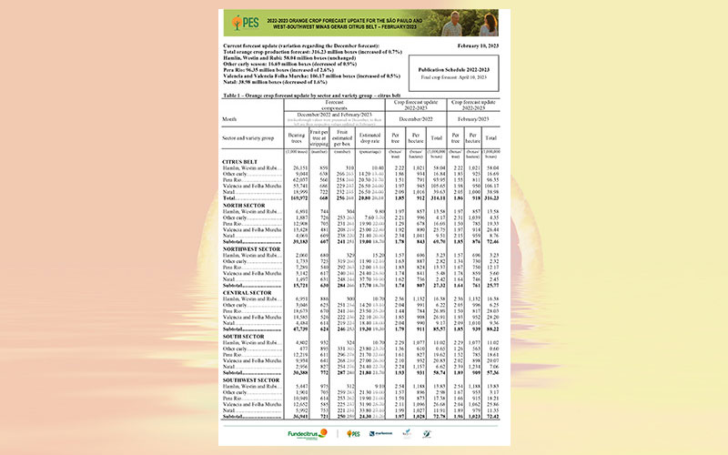 2022 - 2023 orange crop forecast for the São Paulo and West-Southwest Minas Gerais citrus belt – February 2023