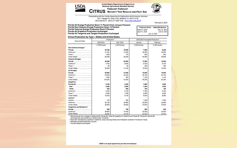 USDA: Florida citrus February 2023 forecast