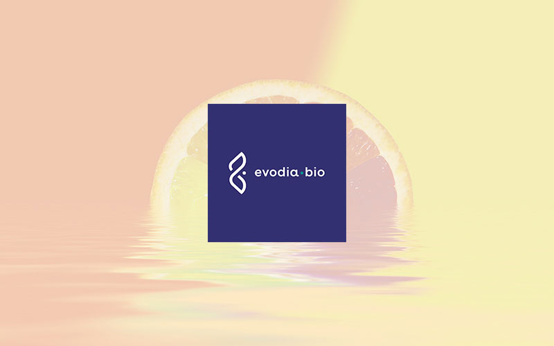 EvodiaBio raises 6.4 million dollars to produce aroma through precision fermentation