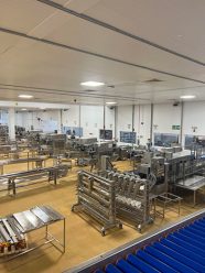 Major Online Auction of Fruit Processing Equipment, Food Processing and Packaging Equipment