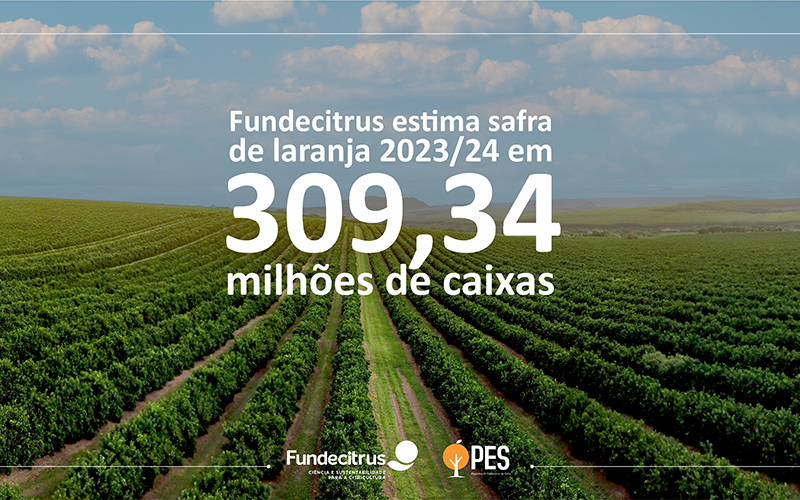 Brazil: Tree inventory and orange crop forecast for the São Paulo and West-Southwest Minas Gerais citrus belt