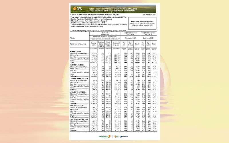 Brazil: 2023-2024 orange crop forecast update for the São Paulo and West-Southwest Minas Gerais citrus belt – December 2023