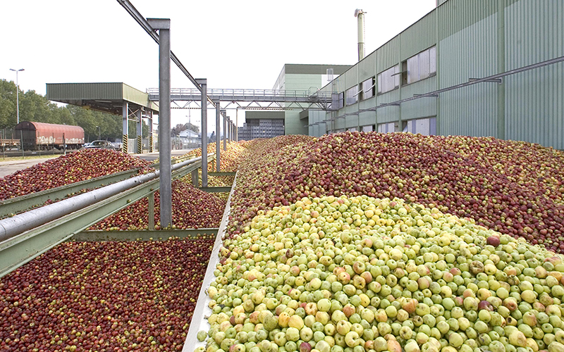 Subdued outlook for 2024/25 after solid EBIT in 2023/24