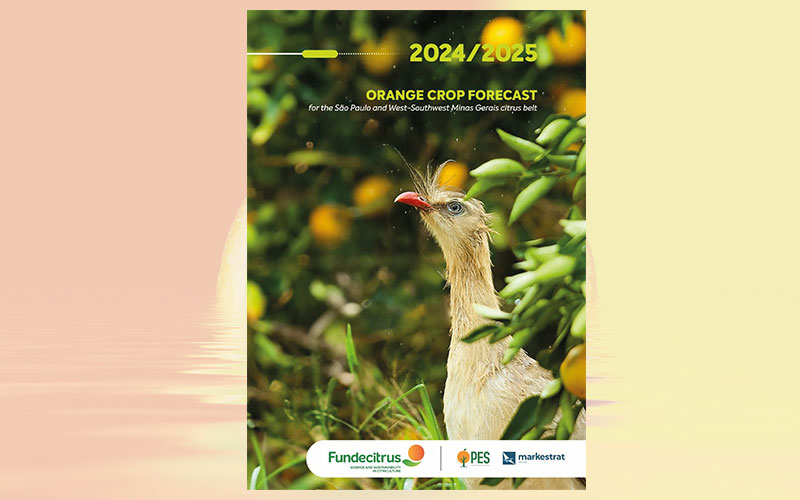 Brazil: 2024-2025 orange crop forecast