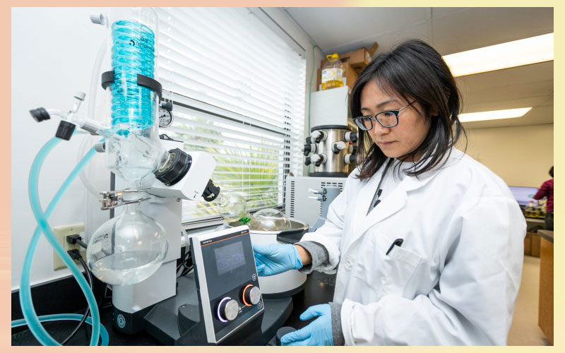 University of Florida study shows orange peel extract may improve heart health