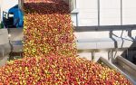 AGRANA NEXT LEVEL: Supervisory Board approves new group strategy ...