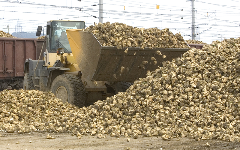 AGRANA now expects very significant EBIT decline in 2024/25 financial year