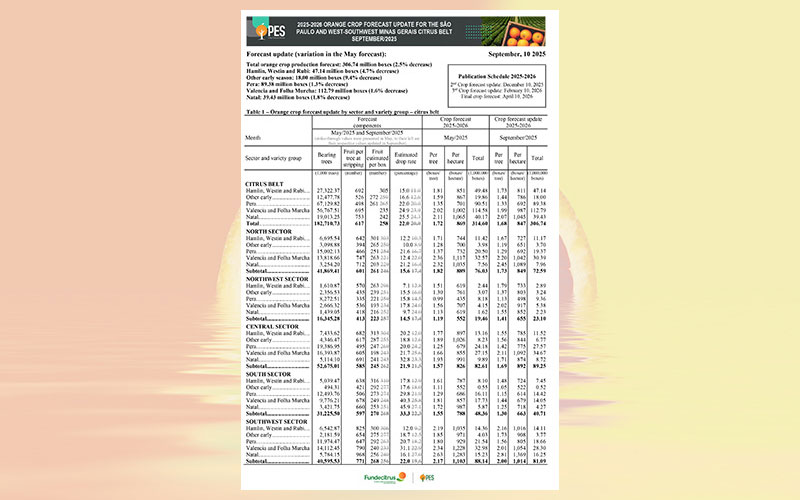 Brazil: 2025-2026 orange crop forecast update for the Sao Paulo and West-Southwest Minas Gerais citrus belt – September 2025