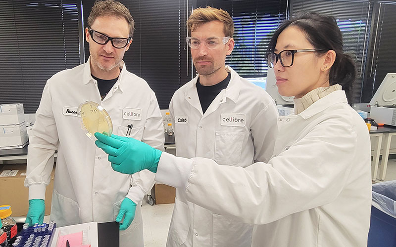 Symrise invests in Cellibre, a U.S.-based biotechnology company, to accelerate innovation for taste balancing and cosmetic actives markets