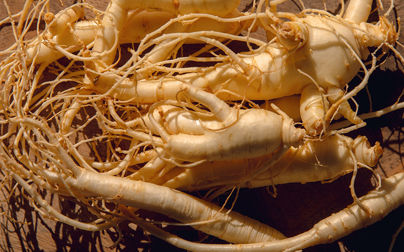 Givaudan partners with Michigan State University and PitFit to test the performance benefits of Cereboost<sup>™</sup> Givaudan partners with Michigan State University and PitFit to test the performance benefits of Cereboost<sup>™</sup>