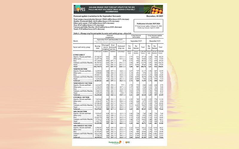Brazil: 2025-2026 orange crop forecast update for the Sao Paulo and West-Southwest Minas Gerais citrus belt – December 2025