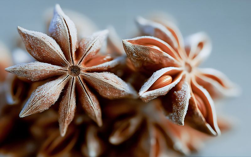dsm-firmenich names ‘Frosted Star Anise’ as Flavour of the Year 2026, capturing a global desire for warmth and freshness