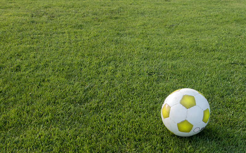 Soccer accounts for 58 % of EMEA non-alcoholic beverage sports sponsorship in 2025, reveals GlobalData