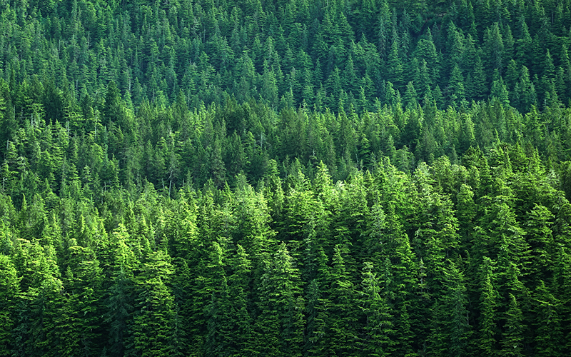 Comment: Global Recycling Day 2026