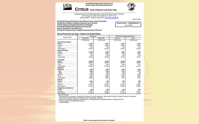 USDA: Florida citrus April 2026 forecast
