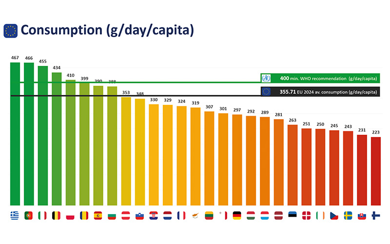 Freshfel Europe’s Consumption Monitor 2026: A stronger consumer-based approach is needed to place fruit and vegetables at the centre of a healthy diet