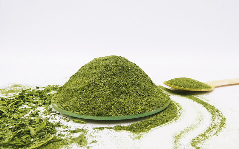 The end of ultra-processing: Dry4Good scales a new generation of natural food ingredients