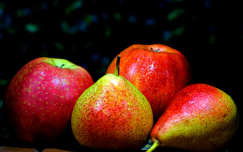 PROGNOSFRUIT 2026 – EU apple and pear forecast